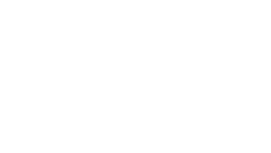 logo_blupura